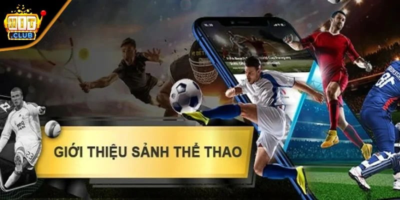 Chia sẻ kinh nghiệm cược thể thao
